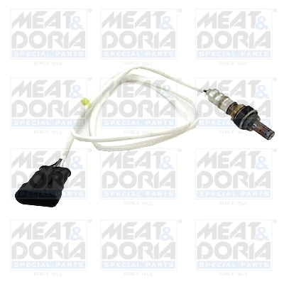 Oxygen Sensor